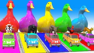 Long Slide Game With Cow Elephant Gorilla Hippopotamus Tiger - 3d Animals Game - Funny 3d Animals