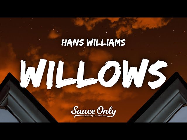 Hans Williams - Willows (Lyrics) class=