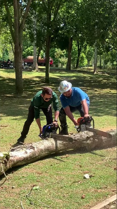 STIHL MS660 vs HOLZZFORMA G660 #stihl #stihlchainsaw #subscribe