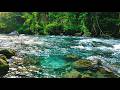 NATURAL AMBIENT SOUNDSCAPES FOR ANXIETY RELIEF