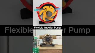 Inside a Flexible Impeller Water Pump
