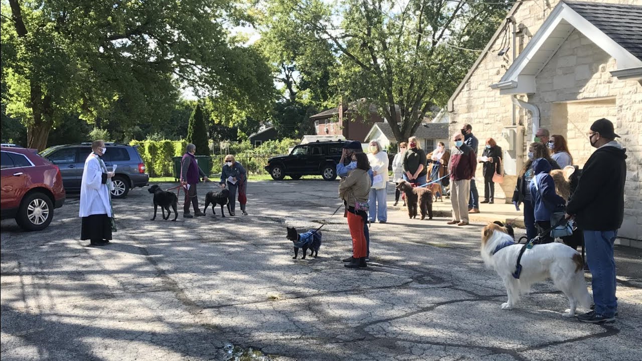 Pet Blessing Highlights