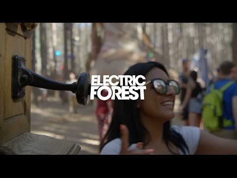 Happy Forest! 💚 - #EF2016 Highlight