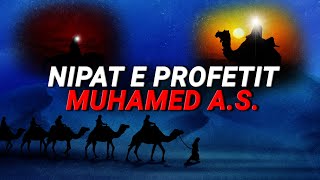 Hasani r.a dhe Husejni r.a - Nipat e profetit Muhammed a.s. Jeta e tyre. Dokumentar