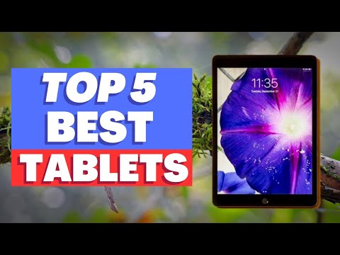 Top 5: Best