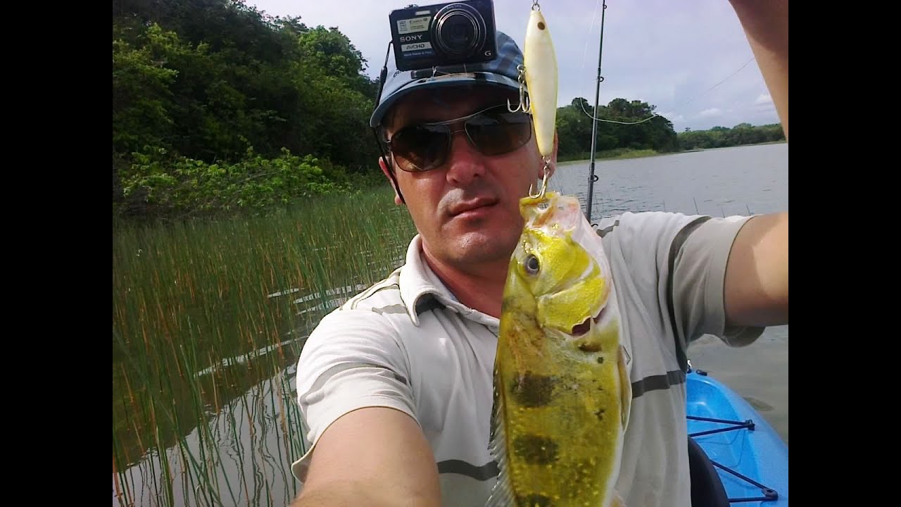 Barracuda pro fish na pescaria de tucuninhas