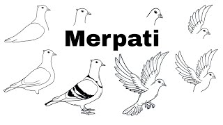 TUTORIAL MENGGAMBAR BURUNG MERPATI