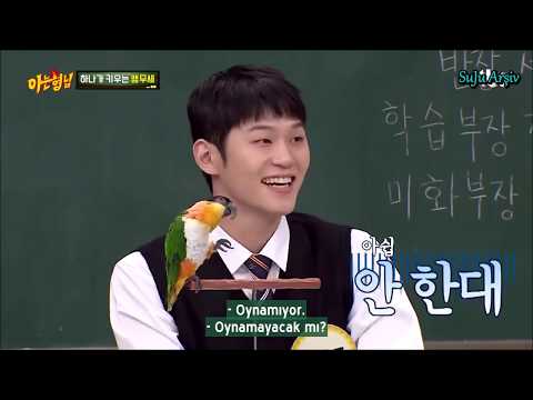 200530 Knowing Bros - Sorry Sorry'de Dans Eden Papağan (Türkçe Altyazılı)