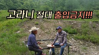 멀칭 비닐 씌우는 방법과~ 두부와, 막걸리~