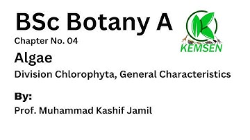 Division Chlorophyta I General Characteristics I Algae I  Botany A I KEMSEN