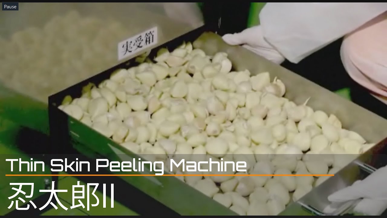 ぎんなん・にんにく薄皮剥き機「忍太郎II」/Ginkgo and garlic thin
