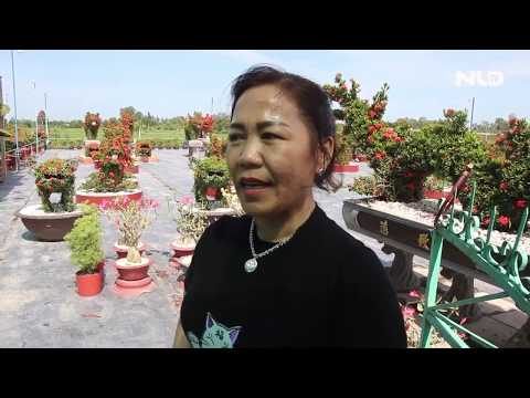 Video Vườn kiểng thú bằng hoa mẫu đơn giá hàng triệu ở miền... - youtube