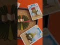 CÓMO JUGAR EN 1 MINUTO A REY CACTUS de Haba.