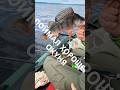 ОКУНЁК!!! Как думаете сколько весит? #рыбалка #окунь #fishing #fish #спиннинг #spinning #рыбак #jig