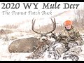 Wyoming Late Season Mule Deer Hunt with Jacob New