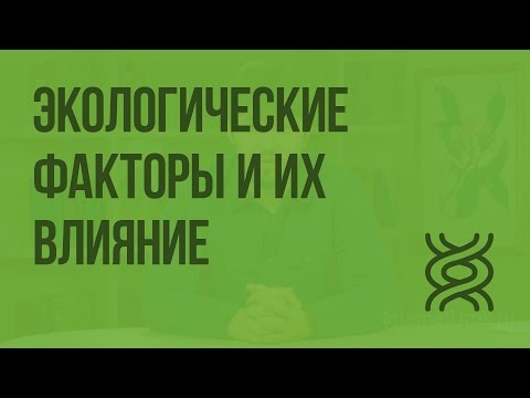 Основные экологические факторы и их влияние на растения. Видеоурок по биологии 6 класс