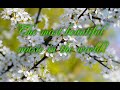 THE MOST BEAUTIFUL SPRING MELODY IN THE WORLD! SERGEY GRISCHUK