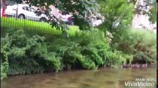 RIVER FROME WALKS, DORCHESTER