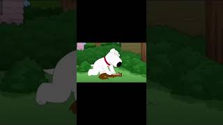 Brian Still Hates On The Squirrels Part 2 Family Guy