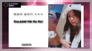 Blackpink - V Live Channel 180713 Jisoo Playing With Dalgom Eng Sub Full Hd 1080P