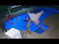 Mom Makes Huge Leap To Save 4-Year-Old Son Who Fell In Pool