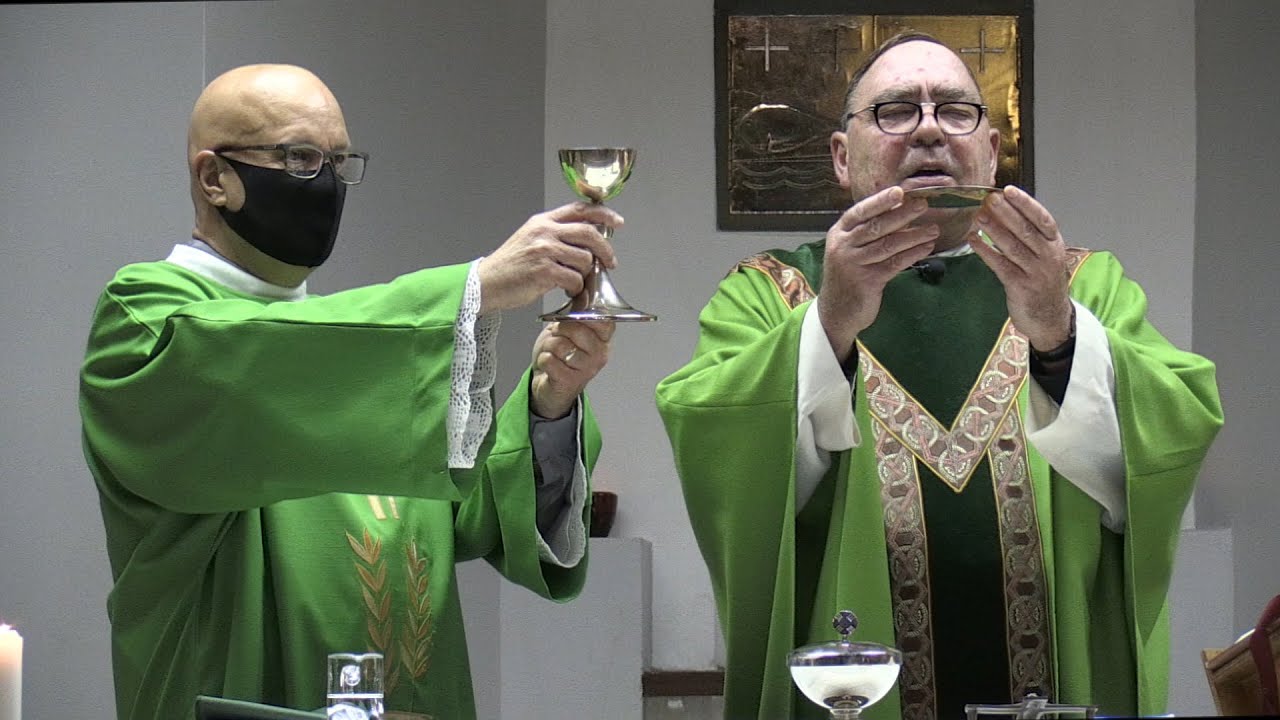 Sunday Mass On The 27th Sunday In Ordinary Time A At Durbanville sunday-mass-on-the-27th-sunday-in-ordinary-time-a-at-durbanville