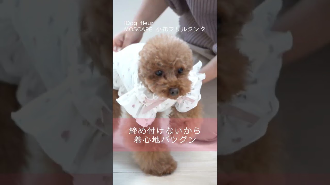 iDog fleur MOSCAPE 小花フリルタンク 防蚊 アイドッグ-犬猫用品通販