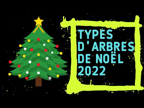 Vidéo: Arbre de Noël réel ou artificiel cette année? - Avantages et inconvénients