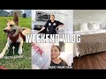 WEEKEND VLOG // NEW BED, getting the house together, mini home haul + Sniff & Bark haul