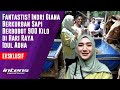 Istri Ustaz RIza Berkurban Sapi 900 Kg di Hari Raya Idul Adha