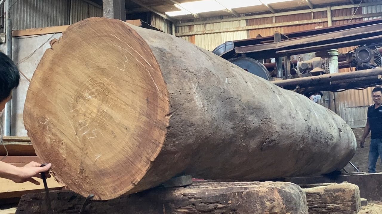 Largest Woodworking Factory Most Dangerous Giant Saws Working At Full