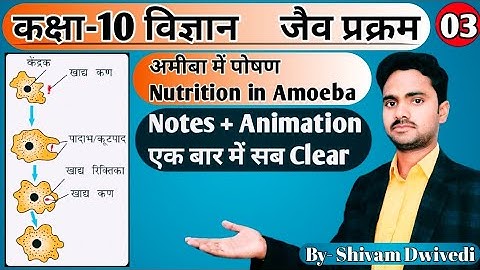 अमीबा में पोषण व पाचन || Nutrition in Amoeba || अध्याय-06 जैव प्रक्रम || Class-10 Science