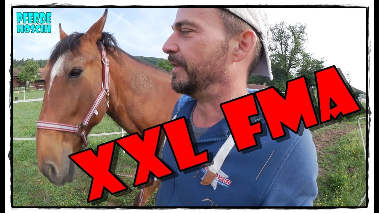 XXL FMA - Pferde zur Weide - E-Zaun | Pferde Hoschi