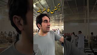 Car Auction Procedure