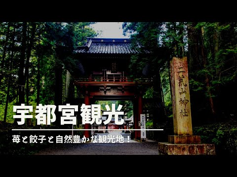 【宇都宮観光】宇都宮へ行くならここへ行け！