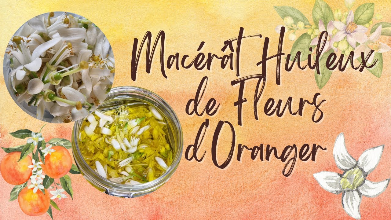 MACÉRÂT HUILEUX DE FLEURS D'ORANGER - YouTube