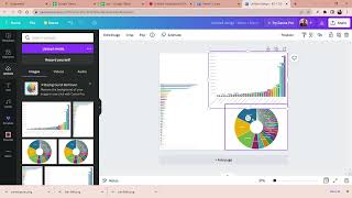 Untitled visualisation   Flourish   Google Chrome 2022 07 11 17 16 46