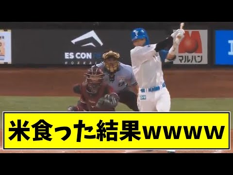 【日ハム・郡司】米食った結果wwwwww【なんJ反応】