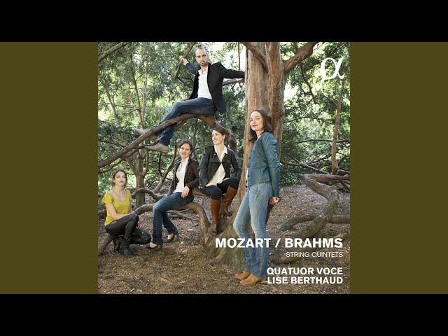 Mozart - Quintette à cordes n°3 : 1er mvt : Quatuor Voce / L.Berthaud