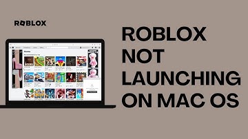 ROBLOX ASSETS NOT LOADING 2024 - How to Fix Roblox Not Loading Properly (Simple)