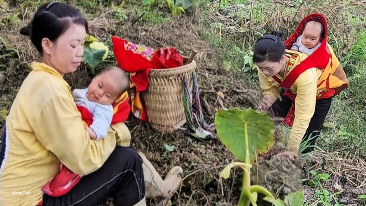 A single woman carries her child up the mountain to plant corn | @khoapao 