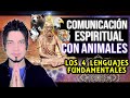 Cómo Comunicarse Con Los Animales ESPIRITUALMENTE