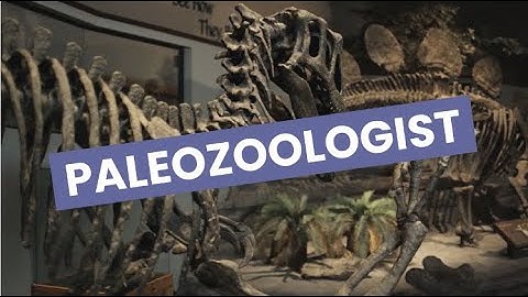 Discover Careers: Paleozoologist | Sortyourfuture