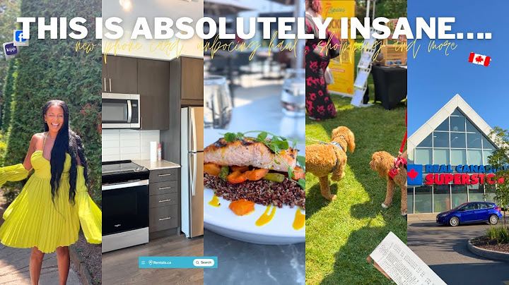 MOVING VLOG: apartment shopping in Toronto, Dog Mixer, Brunch, $50 Walmart Challenge, cooking & more