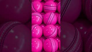 Our Coloured Cricket Balls | Kookaburra Cricket screenshot 4