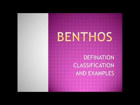 BENTHIC ORGANISMS :- DEFINITION, CLASSIFICATION