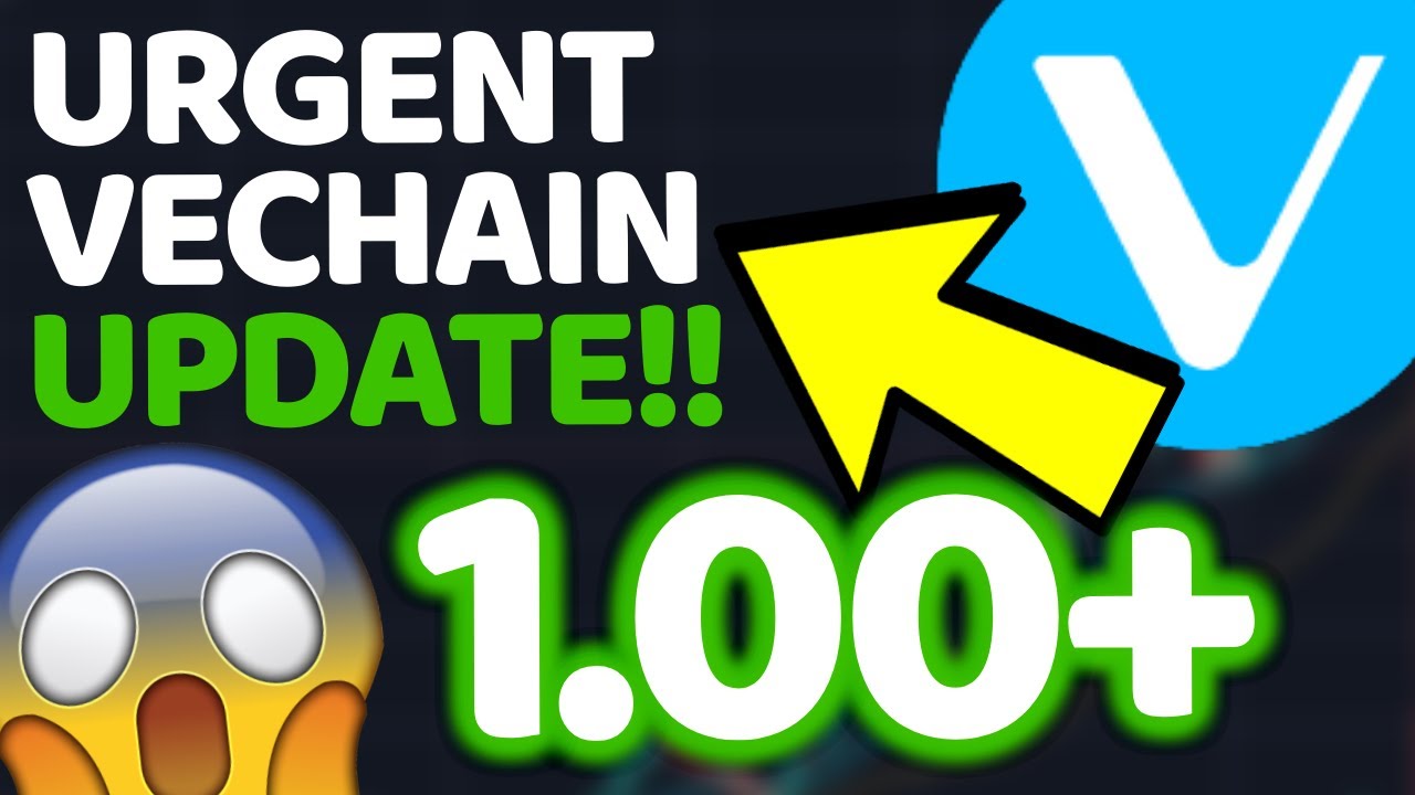 VECHAIN (VET) HOLDERS PLEASE WATCH THIS NOW! DAILY VET UPDATE
