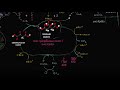 Обзор процессов клеточного дыхания (видео 4)  | Клеточное дыхание | Биология