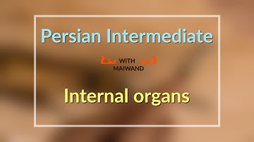 Internal organs in Persian || persian language|| persian language learning|| persian lesson
