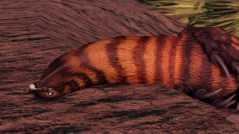 Why is Beip goofy - Prior extinction recode PVP